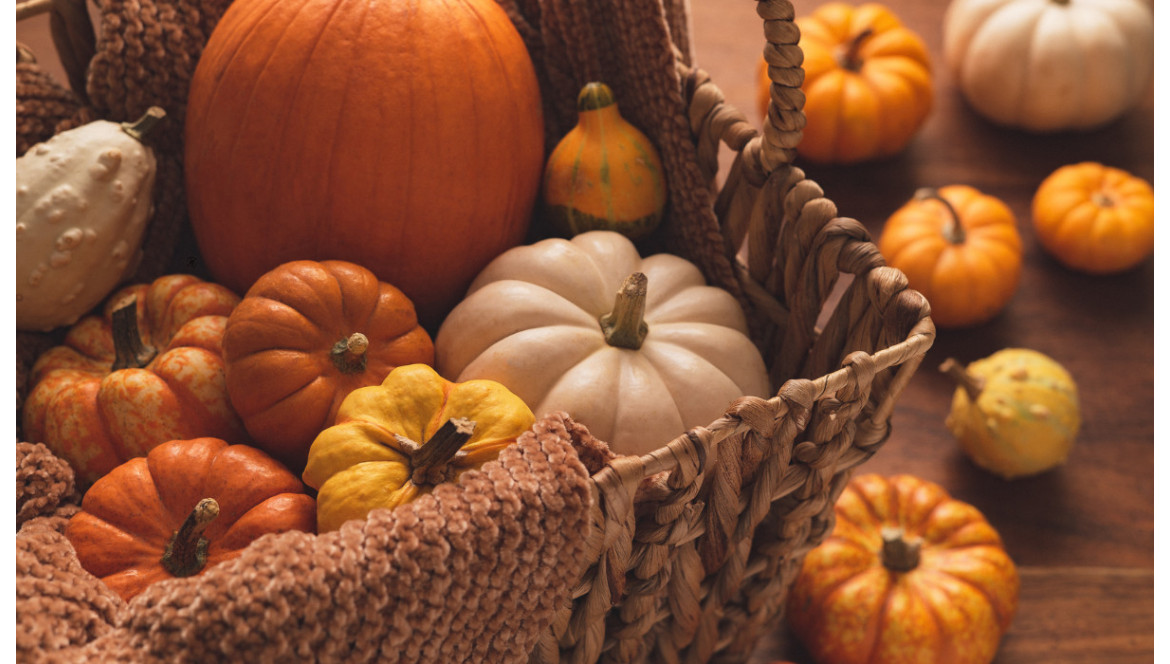 La citrouille : star de l'automne et alliée de votre santé